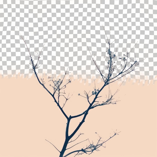 PSD a tree with no leaves on it and the top of it is a drawing of a tree