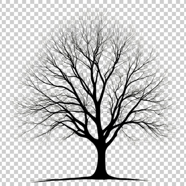 PSD a tree with no leaves on it