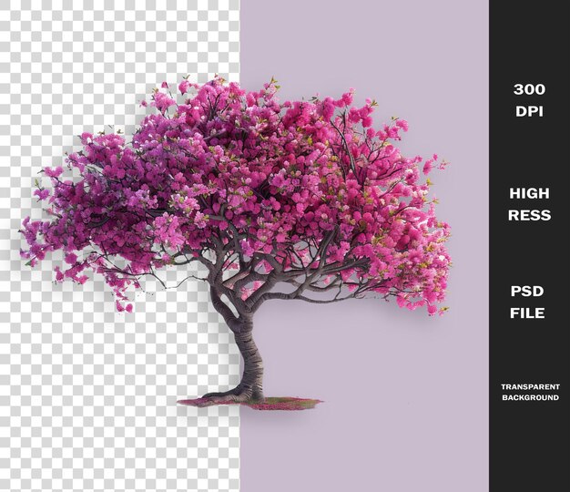 PSD a tree with purple flowers and a picture of a tree