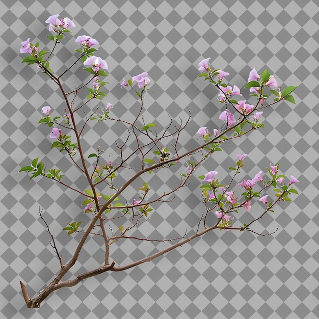 PSD a tree with purple flowers and a white background