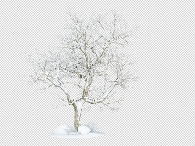 PSD a tree with a white background and a white background with a snowflake on it