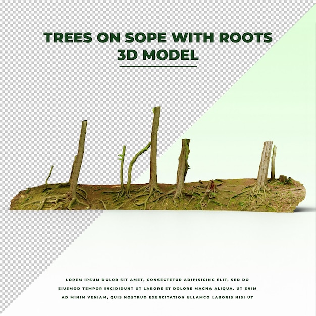 Trees on Sope with Roots