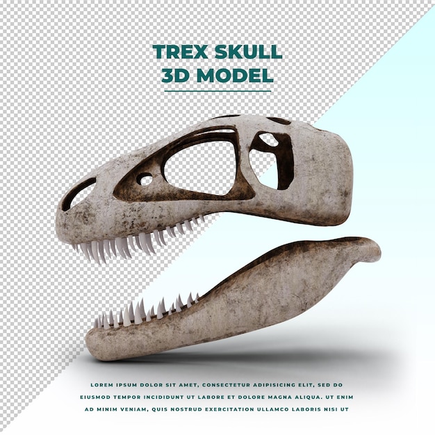 TREX Skull