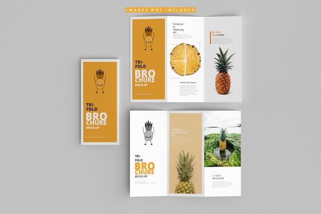 Tri-Fold Brochure Mockups