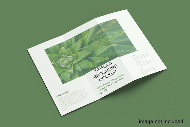 Trifold brochure mockup