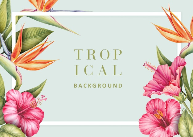 Tropical background with hibiscus and strelitzia