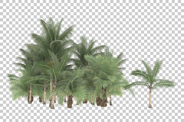 Tropical foliage on transparent background. 3d rendering - illustration