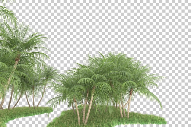 Tropical forest isolated on transparent background 3d rendering illustration