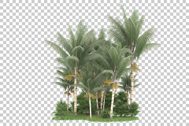 Tropical forest isolated on transparent background 3d rendering illustration