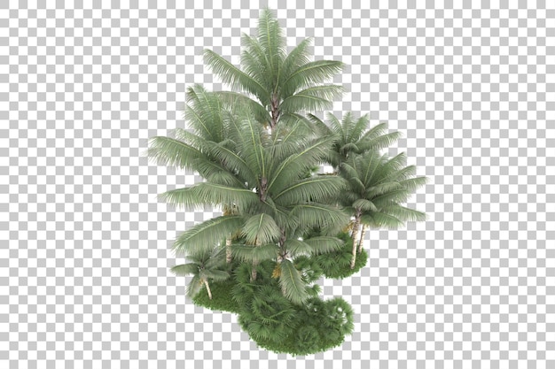 Tropical forest isolated on transparent background 3d rendering illustration