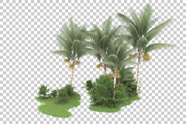 Tropical forest isolated on transparent background 3d rendering illustration