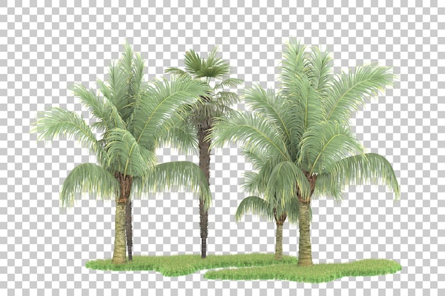 Tropical forest isolated on transparent background 3d rendering illustration