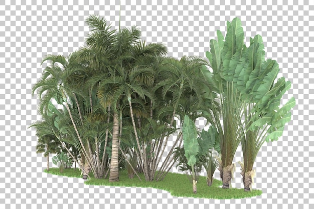 Tropical forest isolated on transparent background 3d rendering illustration