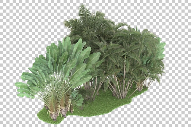 Tropical forest isolated on transparent background 3d rendering illustration