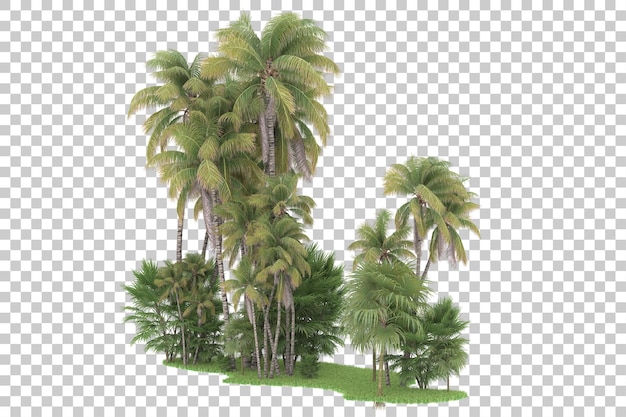 Tropical forest isolated on transparent background 3d rendering illustration