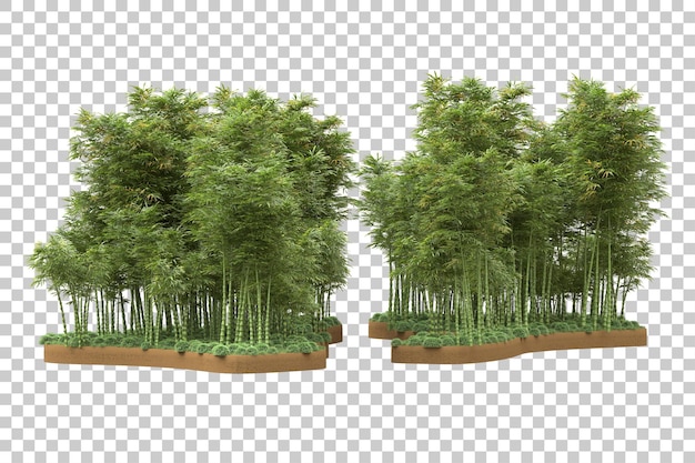 Tropical forest isolated on transparent background 3d rendering illustration