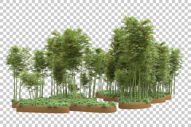 Tropical forest isolated on transparent background 3d rendering illustration