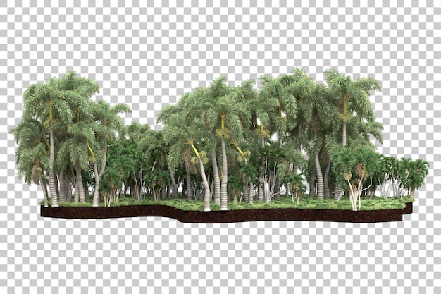 Tropical forest isolated on transparent background 3d rendering illustration