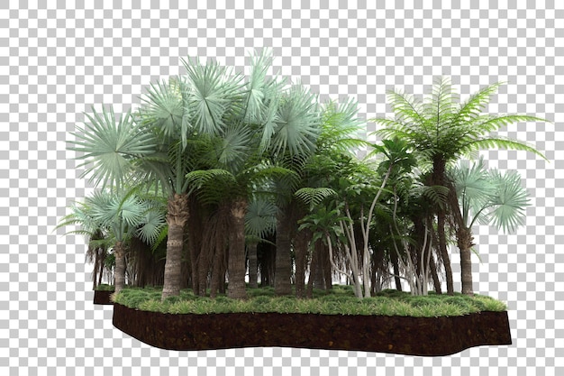 Tropical forest isolated on transparent background 3d rendering illustration