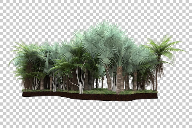 Tropical forest isolated on transparent background 3d rendering illustration