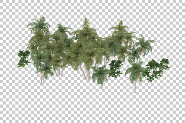 Tropical forest on transparent background. 3d rendering - illustration