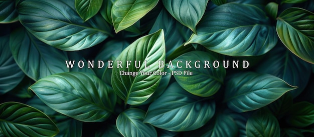 PSD tropical green foliage background