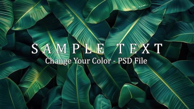 Tropical Green Leaves Texture Background