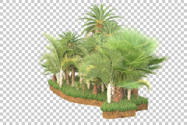 Tropical island isolated on transparent background 3d rendering illustration