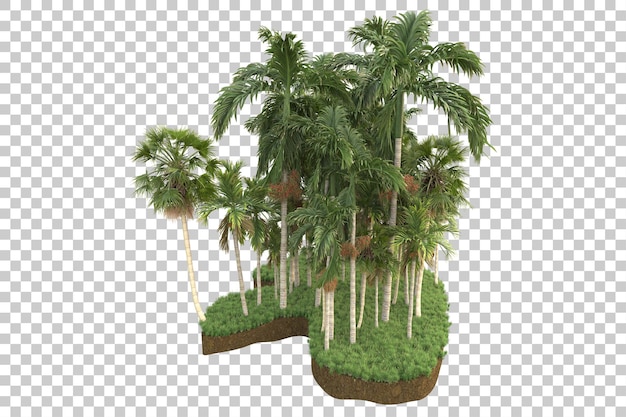 Tropical island isolated on transparent background 3d rendering illustration