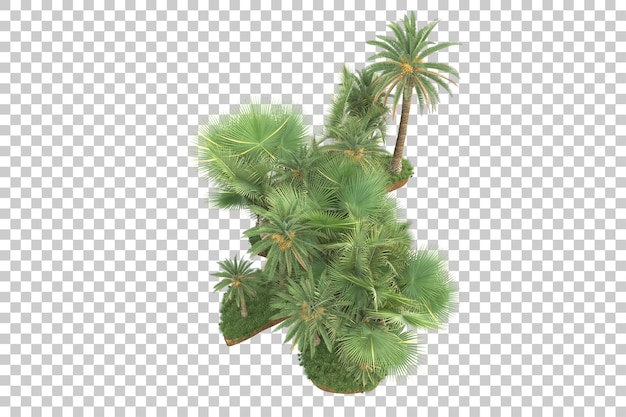 Tropical island isolated on transparent background 3d rendering illustration