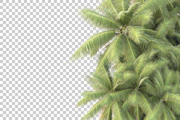 Tropical island isolated on transparent background 3d rendering illustration