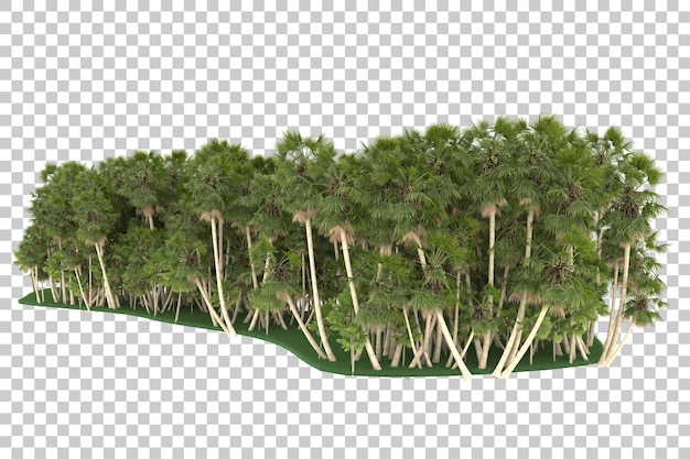 Tropical jungle on transparent background. 3d rendering - illustration