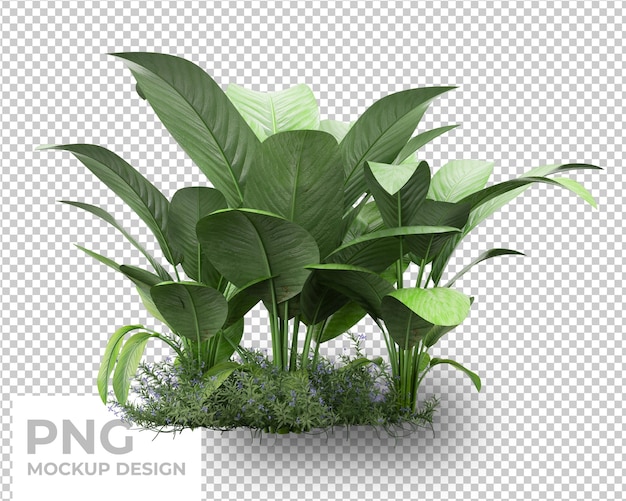 tropical palm leaves isolated mockup design