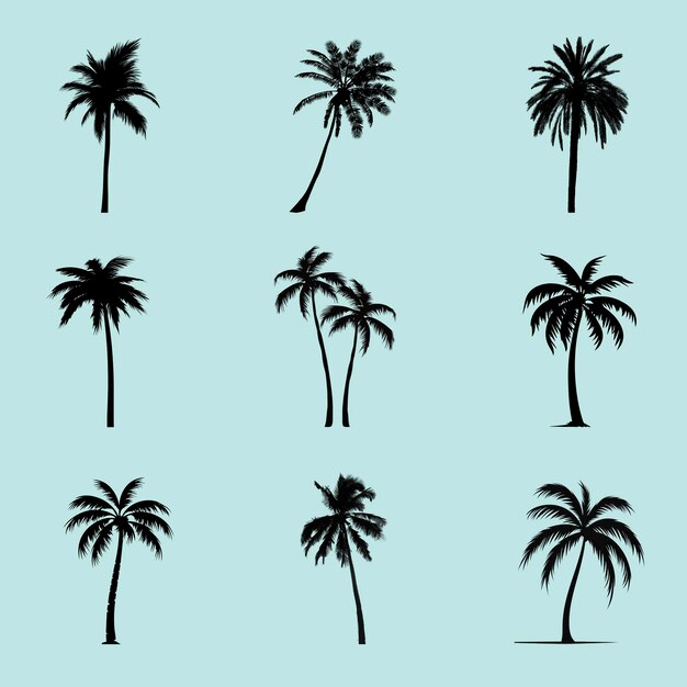 PSD tropical palm tree silhouettes collection