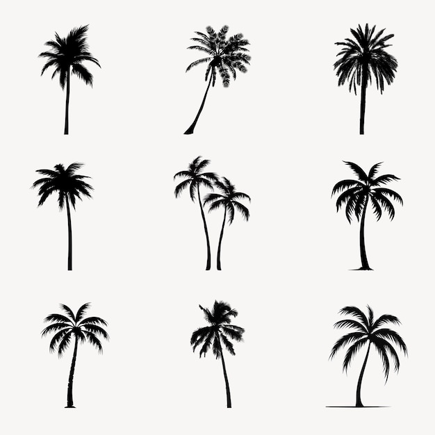 PSD tropical palm tree silhouettes collection