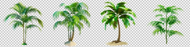 Tropical Palm Trees Variety Isolated on Transparent Background