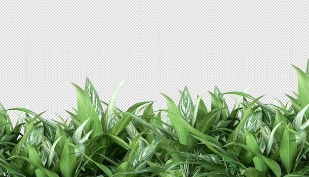 Tropical plant in 3d rendering isolated