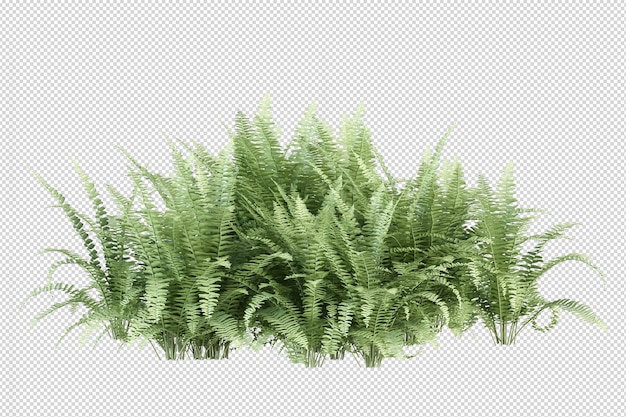 Tropical plant in 3d rendering isolated