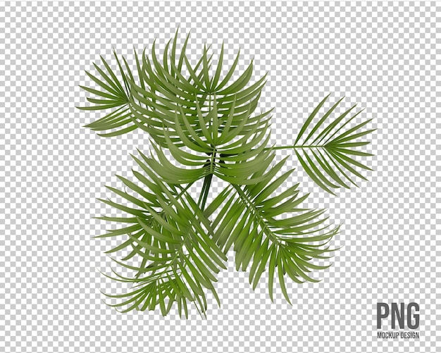 tropical plants collection isolated decoration