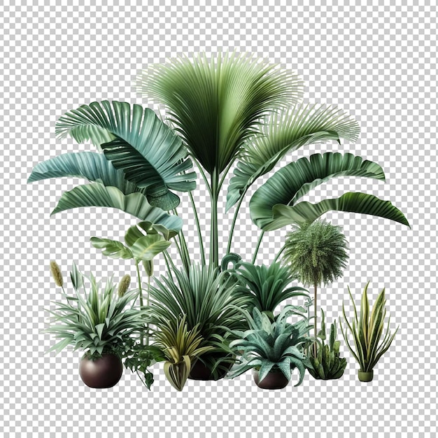 Tropical plants isolated transparent background Ai generative