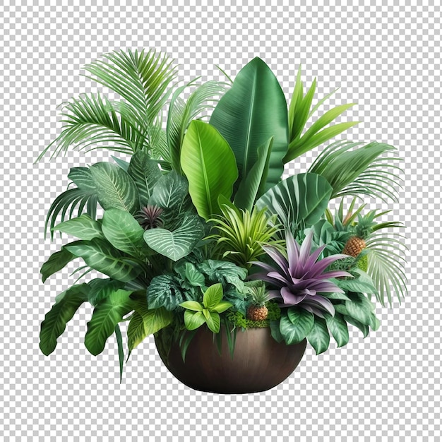 Tropical plants isolated transparent background Ai generative