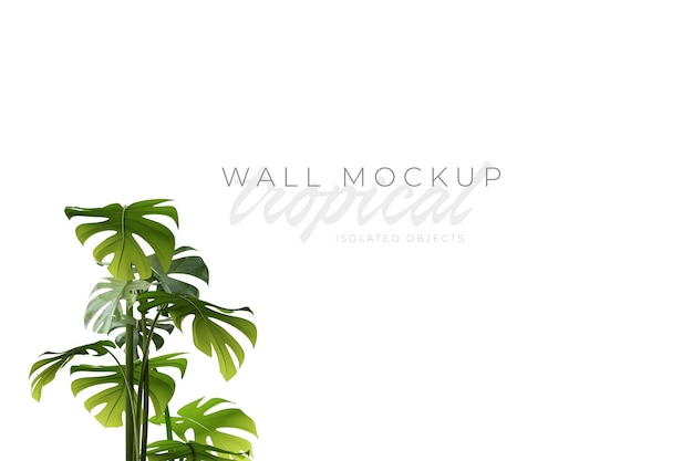 Tropical and Summer background Mockup