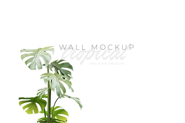 Tropical and Summer background Mockup