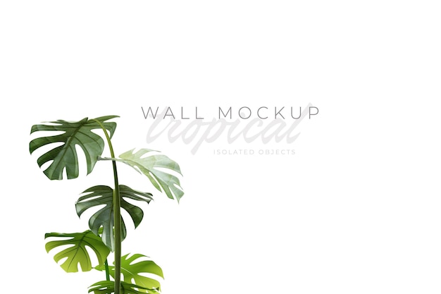 Tropical and Summer background Mockup