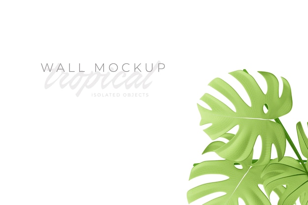 Tropical and Summer background Mockup