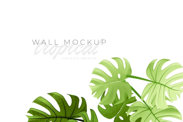 Tropical and Summer background Mockup