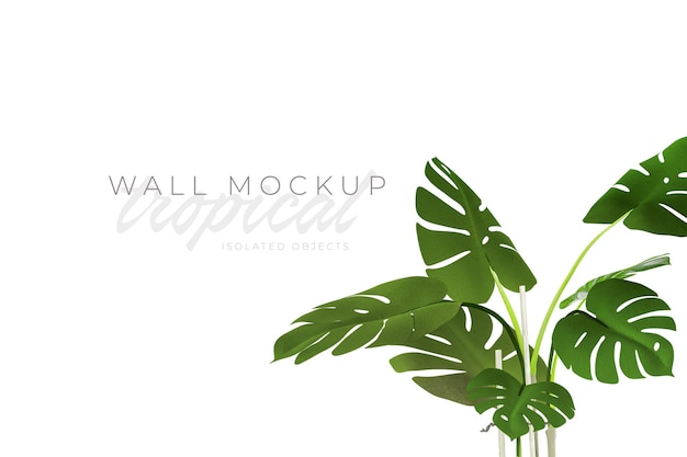 Tropical and Summer background Mockup