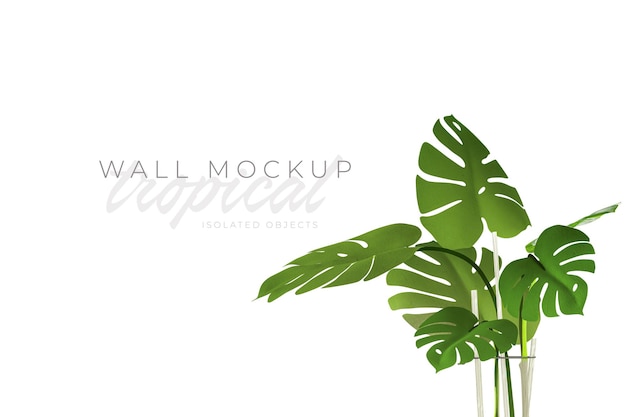 Tropical and Summer background Mockup