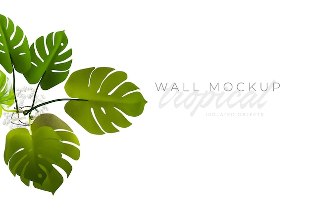 Tropical and Summer background Mockup