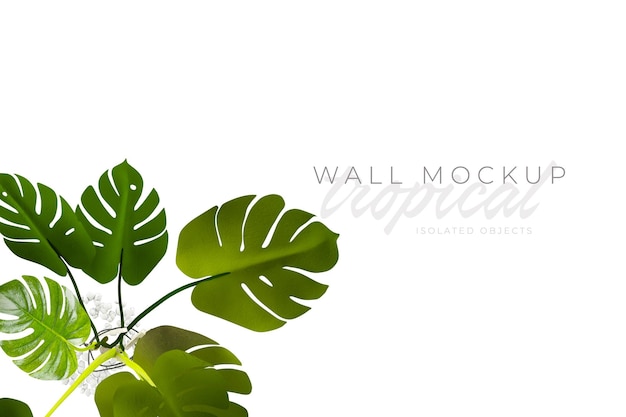 Tropical and Summer background Mockup